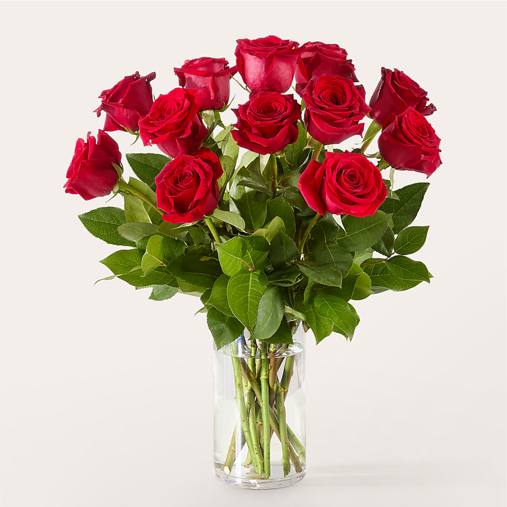 The One Red Rose Bouquet – SWEET CREATIONS BROOKFIELD FLWRS & BLLNS, Brookfield IL