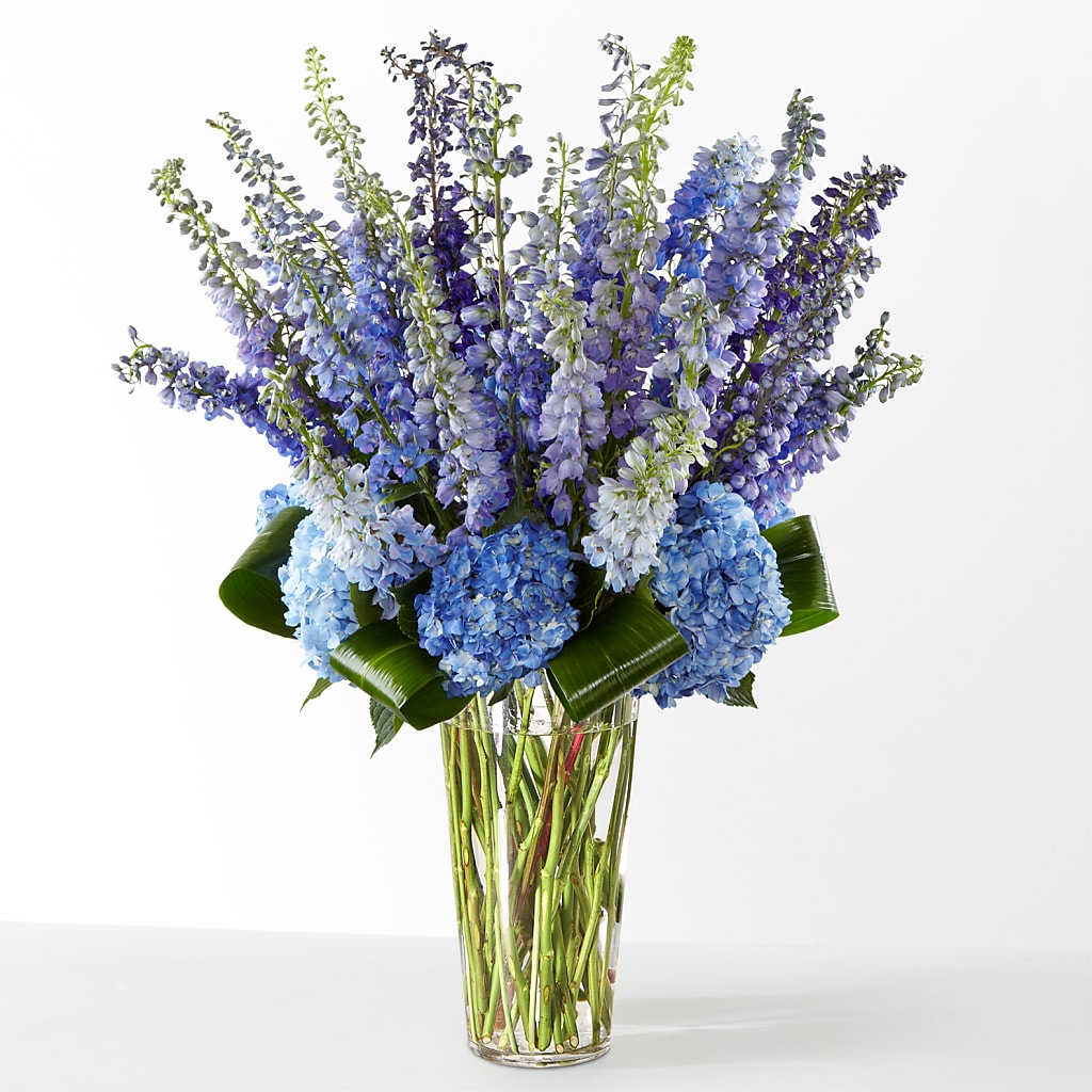 The Editorial – SWEET CREATIONS BROOKFIELD FLWRS & BLLNS, Brookfield IL
